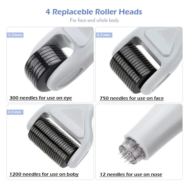 6 in 1 Derma Roller System
