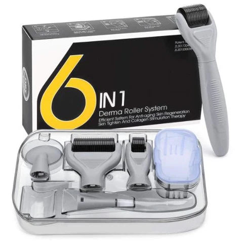 6 in 1 Derma Roller System